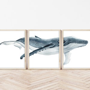 Watercolor Whale Art Print Set, Nautical Coastal Decor