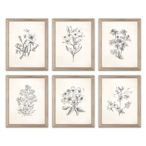 Vintage Botanical Flowers Sketch Prints. Set of Six Prints. Botanical Art. Botanical Prints. Flower Art. Flower Prints. Farmhouse Wall Art.