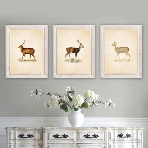 French Country Decor. Farmhouse Decor. Farmhouse Wall Decor. French Country Wall Decor. Dining Room Wall Art. Deer. Vintage Deer Art. NS-789