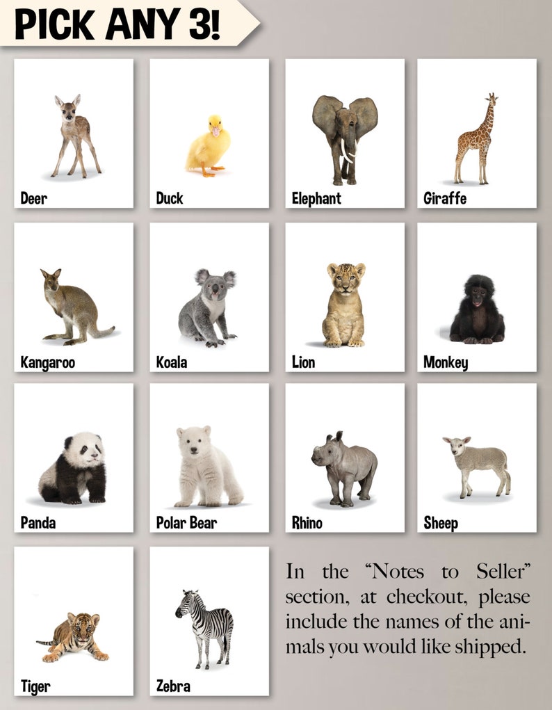 Baby Nursery Print Art Animal Nursery Decor Jungle Nursery | Etsy