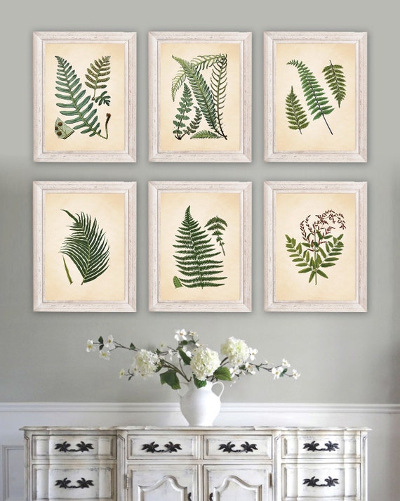 Antique Botanical Print Set. Botanical Art. Botanical Illustration. Botanical Vintage Art. Fern Art. Fern Print. Farmhouse Art.  NS790