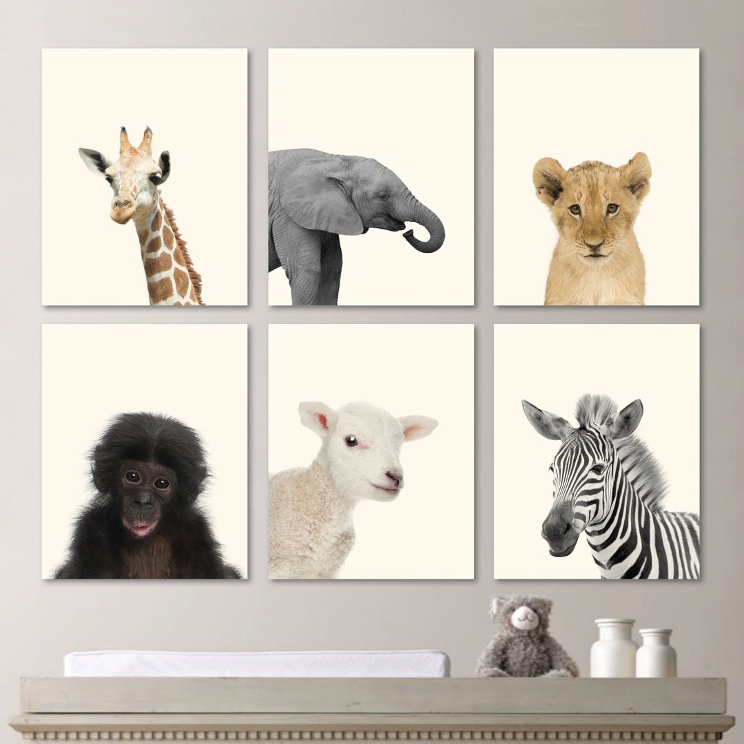 Baby Animal Prints, Jungle Nursery Decor Art, Set of 6 - Etsy