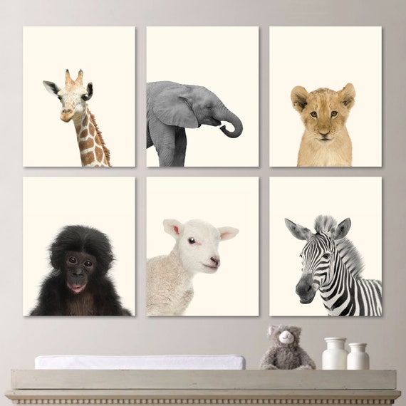 Baby Animal Prints. Baby Nursery Print Art. Baby Animal Art. Baby Animals. Jungle Nursery. Jungle Nursery Art. Baby Animal Photos. NS528