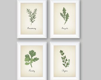 May include: Four white framed prints with illustrations of herbs. Each print features a different herb: rosemary, arugula, parsley, and thyme. The herb names are written in cursive below each illustration.