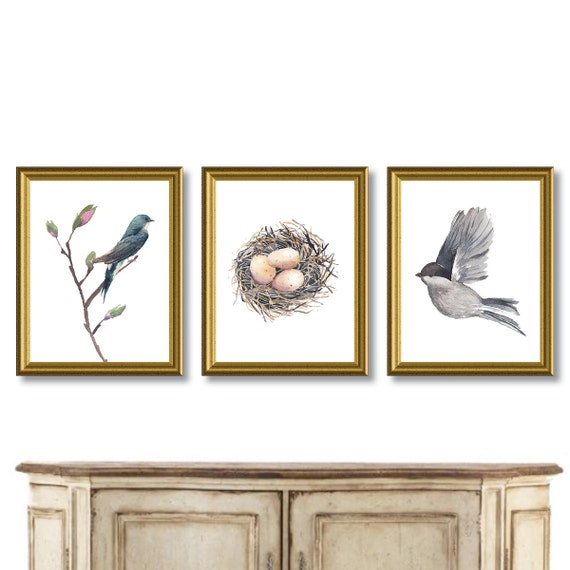 Bird Bird Nest Watercolor Wall Art. Bird Prints. Birdnest Art. Watercolor Art. Farmhouse Decor. Shabby Decor. Boho Art. Dining Room. (NS848)