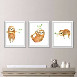 May include: Three framed watercolor paintings of sloths hanging from branches. The sloths are brown and have white faces. The branches are green and have pink flowers.