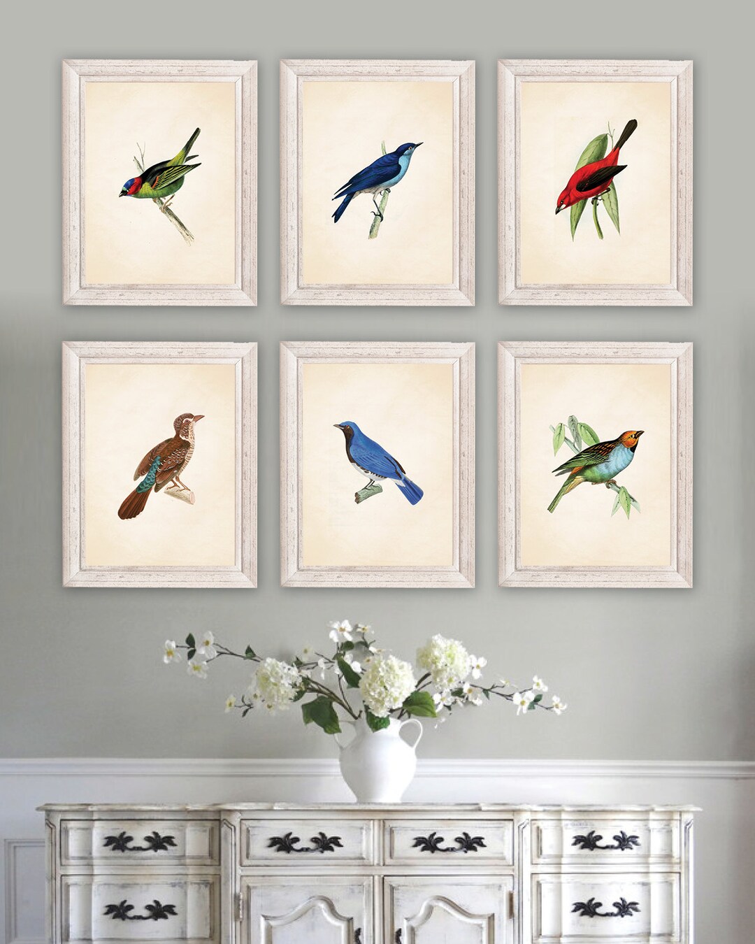 Audubon Bird Prints Set of 6, Vintage Style Wall Art - Etsy