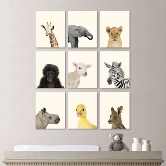 Baby Animal Prints. Baby Animal Nursery Decor. Baby Animal Art. Jungle Nursery. Jungle Nursery Art. Baby Animal Photos. Baby Animals. NS-528