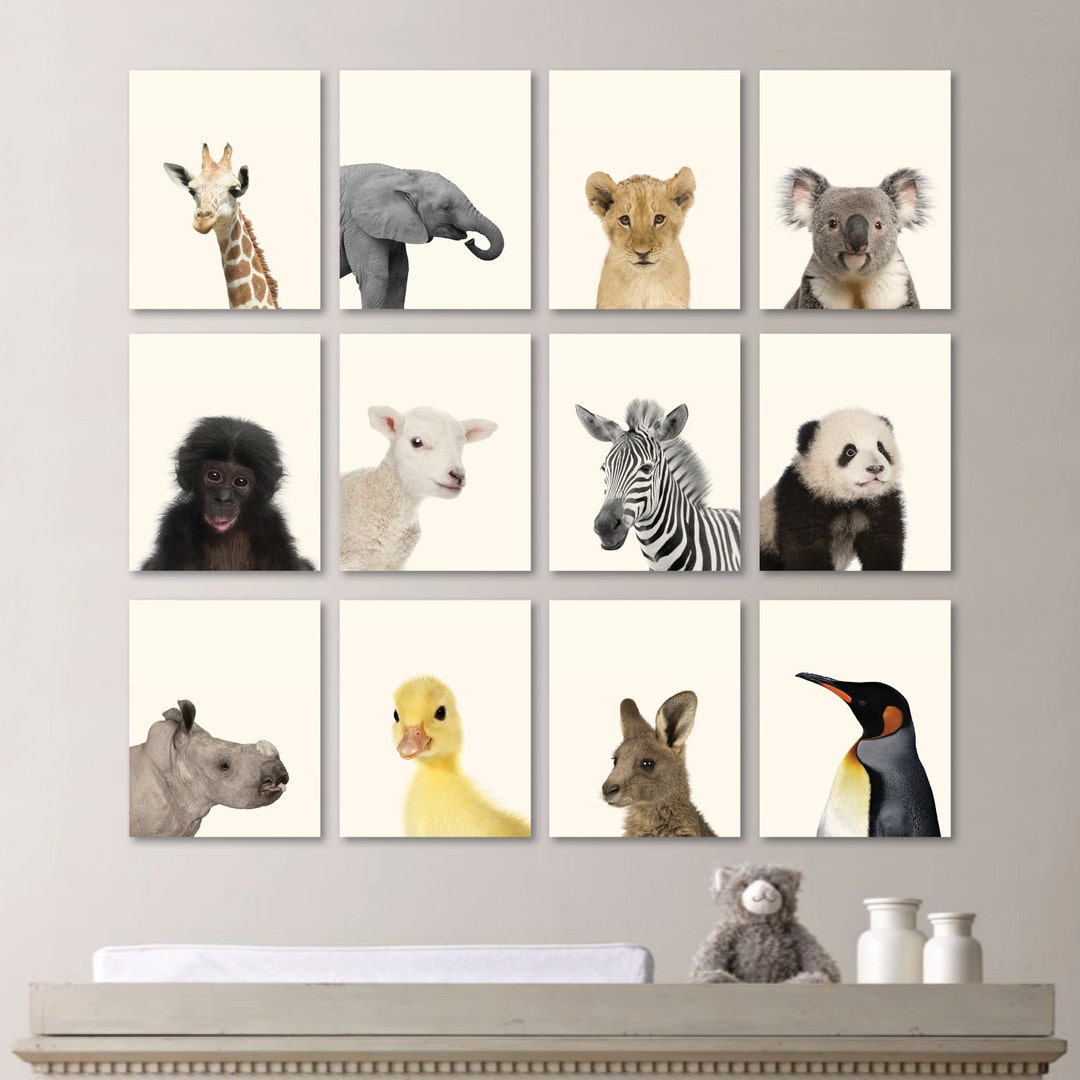 Baby Animal Prints. Baby Animal Nursery Art. Baby Nursery Print Art ...