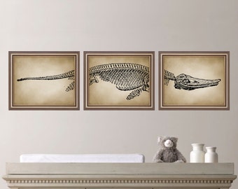 Vintage Inspired Dinosaur Fossil Prints. Dinosaur Art. Dinosaur Prints. Dinosaur Nursery Art. Dinosaur Bedroom Decor. Natural History Art