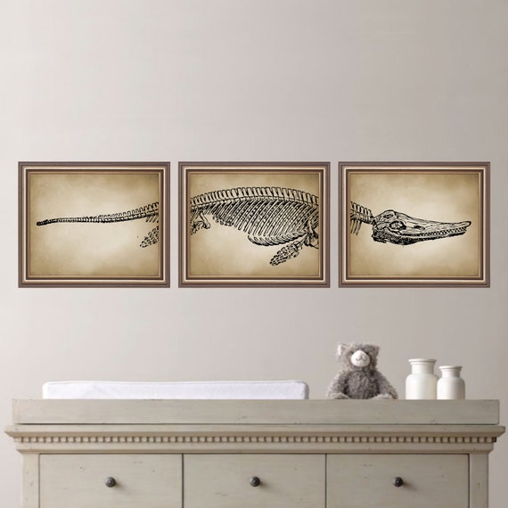Vintage Inspired Dinosaur Fossil Prints. Dinosaur Art. Dinosaur Prints. Dinosaur Nursery Art. Dinosaur Bedroom Decor. Natural History Art