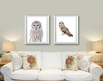May include: Two framed watercolor paintings of owls. The owl on the left is a gray owl with brown markings. The owl on the right is a brown owl with white markings. Both owls are perched on a white background.