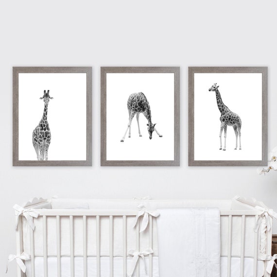 Giraffe Art Print. Nursery Wall Decor. Gender Neutral Nursery. Animal Prints. Safari Art. Safari Nursery Decor. Boy Bedroom Wall Art. Safari