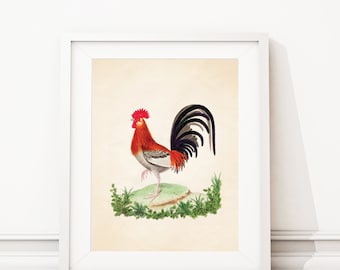 Rooster Kitchen Decor. Rooster Print. Rooster Art. Vintage Rooster Decor. Farmhouse Art. Farmhouse Decor. Kitchen Art. Dining Room Art. S451