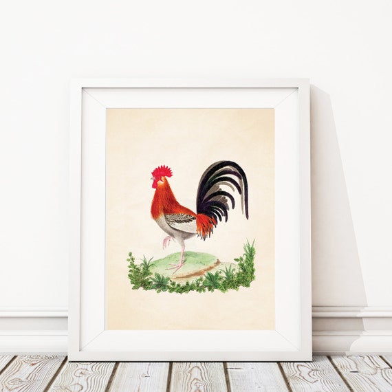 Rooster Kitchen Decor. Rooster Print. Rooster Art. Vintage Rooster Decor. Farmhouse Art. Farmhouse Decor. Kitchen Art. Dining Room Art. S451