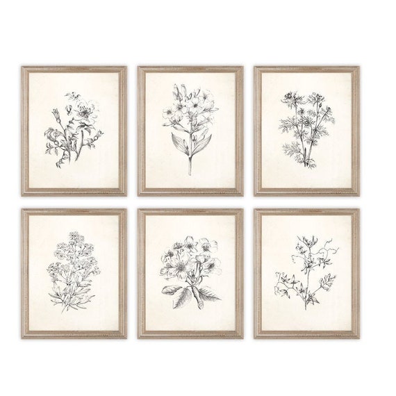 Vintage Botanical Flowers Sketch Prints. Set of Six Prints. Botanical Art. Botanical Prints. Flower Art. Flower Prints. Farmhouse Wall Art.