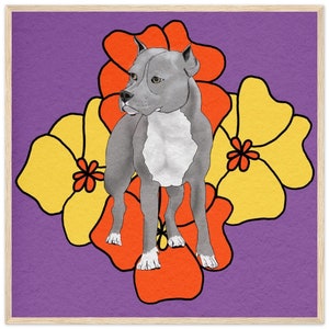 Pode incluir: Um cão pit bull terrier cinza está no centro de um fundo roxo com flores laranja e amarelas. O cão tem o peito branco e uma mancha branca na testa.