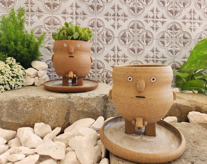 Handmade "The Guy" Whimsical Character Succulent Planter