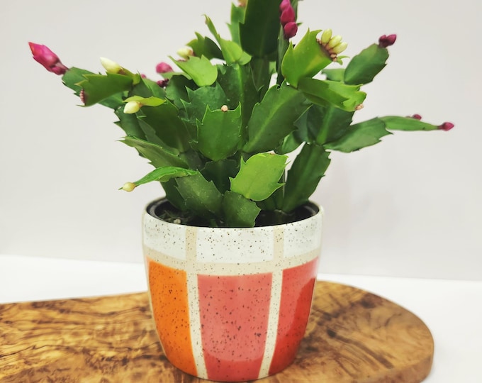 Handcrafted Multicolored Rainbow Stripe Speckled clay Planter