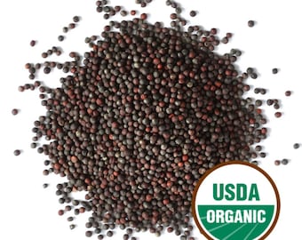 Semillas de brócoli para germinar, orgánicas