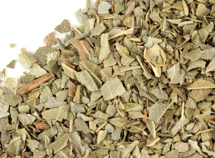 food for air plants Ready-To-Use Tillandsia Air Plant Fertilizer