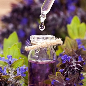 Lavender Essential Oil