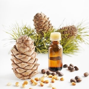 Cedarwood Essential Oil