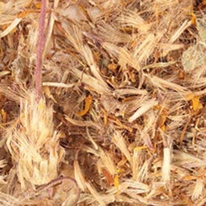 Arnica, Whole