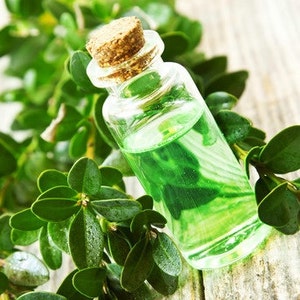 Tea Tree, Essential Oil