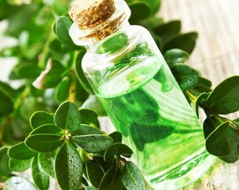 Tea Tree, olio essenziale