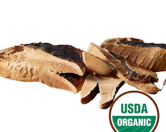 Hongo reishi orgánico