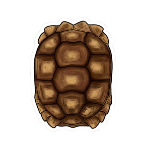 May include: A detailed illustration of a turtle shell, featuring a pattern of brown and tan geometric shapes. The shell has a textured appearance with shading that gives it a three-dimensional look. The design is set against a white background.