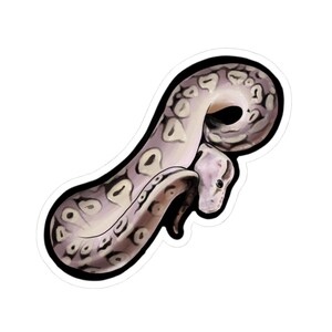 Peut inclure: Un autocollant représentant une illustration détaillée d'un serpent dans des tons de gris, crème et marron. Le serpent est enroulé, avec un contour noir. Le design a un style réaliste et artistique, pour les amateurs de reptiles.