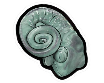 Pegatinas troqueladas de camaleón bebé velado, decoración oceánica, pegatinas para portátil, regalos marinos, estética natural, papelería bonita