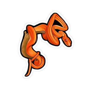 May include: A sticker depicting an orange snake wrapped around a brown branch. The snake has a red eye and is set against a white background. The illustration is in a cartoon style.