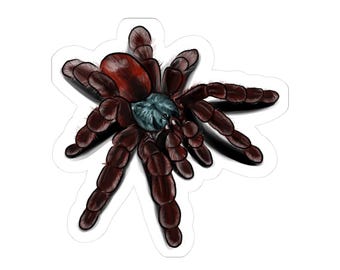 Pegatinas troqueladas de tarántula versicolor, decoración espeluznante, accesorios para portátil, regalos únicos, decoración de Halloween