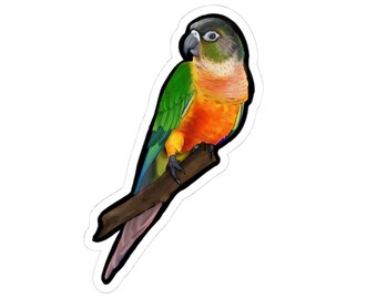Pegatinas troqueladas de cotorra verde / Calcomanías para portátil, regalos para amantes de la naturaleza, decoración divertida, amantes de los reptiles, pegatinas de animales