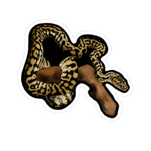 May include: A sticker featuring a detailed illustration of a snake coiled around a brown branch. The snake has a yellow and black pattern, with a black background. The sticker has a white border.