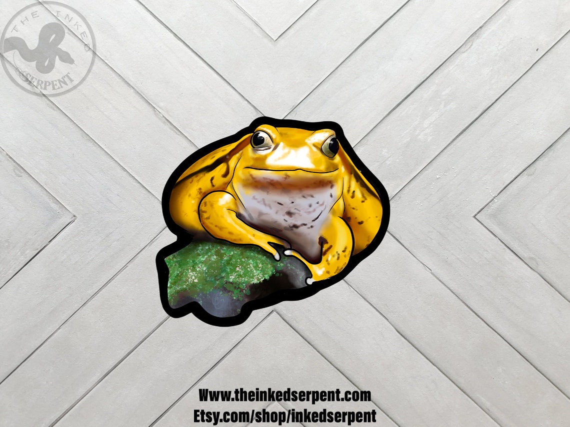 Tomato Frog Sticker Chubby Frog Artwork Fat Frog Gift Frog | Etsy India