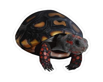 Pegatinas troqueladas de tortuga bebé de patas rojas / Decoración para amantes de la naturaleza, pegatinas para portátil, regalos de tortuga adorables, amantes de los animales