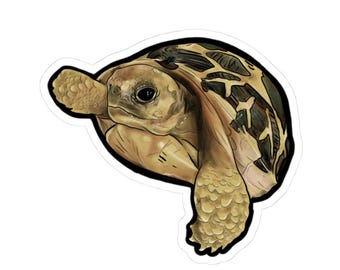 Pegatinas troqueladas de tortuga bebé estrella, pegatinas de animales adorables, decoración para portátil, regalos para amantes de la naturaleza, pegatinas hechas a mano, accesorios ecológicos
