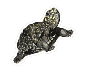 Pegatinas troqueladas de tortuga moteada india (Hamiltoni) para amantes de la naturaleza, calcomanías para portátiles, amantes de los animales, regalos ecológicos y recuerdos de fiesta únicos.