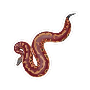 May include: A sticker featuring a stylized illustration of a snake. The snake has a maroon body with tan and black markings. The head is gray, and the tail tip is black. The sticker is cut around the snake's outline.