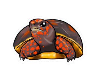 Pegatinas troqueladas de tortuga de patas rojas de colores, adorable arte de tortuga, calcomanía para portátil, regalo para amantes de la naturaleza, ecológicas, divertidas decoraciones para botellas de agua.