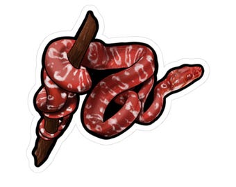 Pegatinas troqueladas con diseño de serpiente y boa amazónica, decoración para portátiles, amantes de los animales, regalos ecológicos, pegatinas artísticas, decoración única