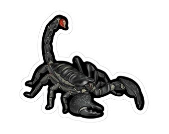 Stickers empereur Scorpion Kiss-Cut, décoration avant-gardiste pour ordinateurs portables, bouteilles d'eau, parfaits pour les amateurs de Scorpion, cadeaux et accessoires uniques