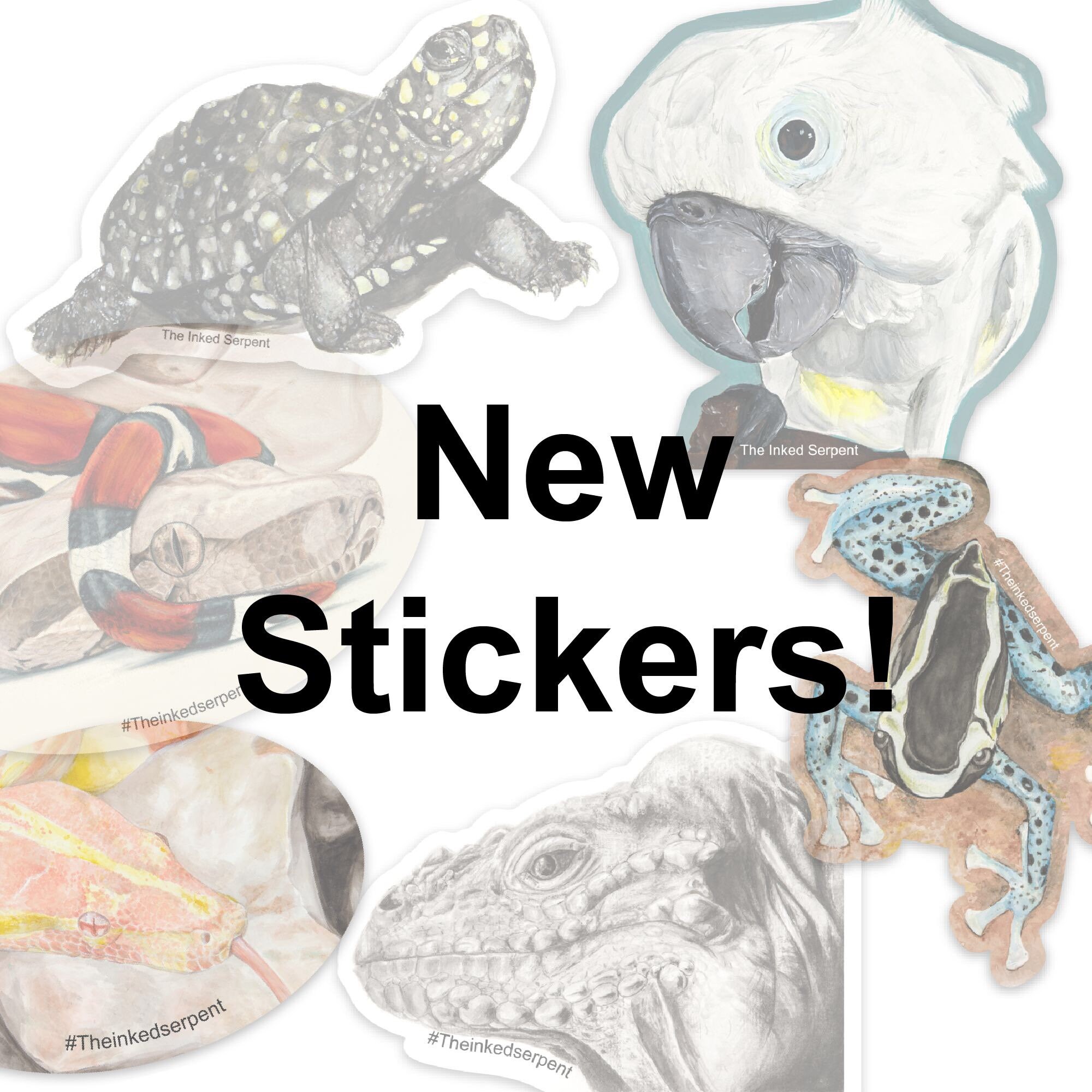 Stickers Artwork of reptiles printed as useable cut dyed Etsy