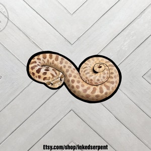 Hognose snake sticker digital painting reptile art gift, snake art, snake sticker, snake art, reptile art