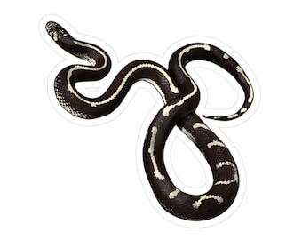 Pegatinas de serpiente rey de California / Decoración llamativa de vida silvestre, regalos para amantes de los animales, pegatinas para portátil, arte único, entusiastas de los reptiles