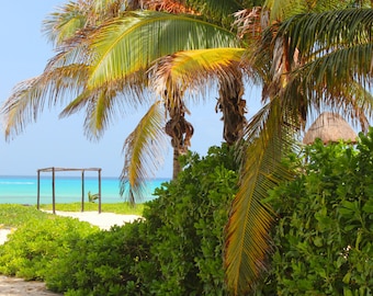 Cabana Beach, Palm Trees, Turquoise Water, White Sand, Ocean, Playa Del Carmen, Mexico